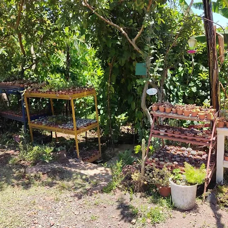 El Buda Poas Exterior photo