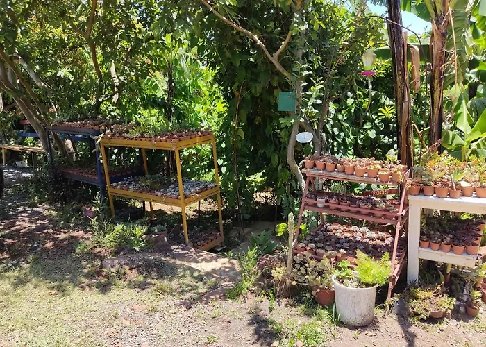 El Buda