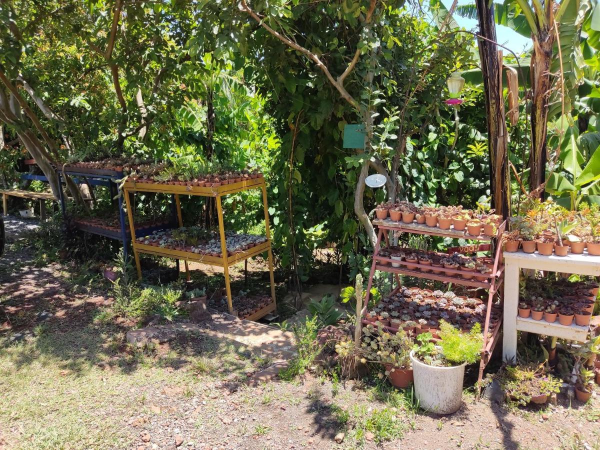 El Buda Apartment *